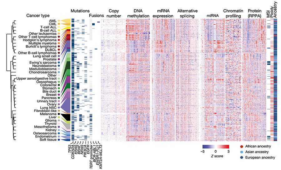 Image showing large-scale approaches to the pre-clinical translational study of cancer therapeutics